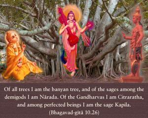 Bhagavad Gita 10.26.en.jpg - thumbnail size