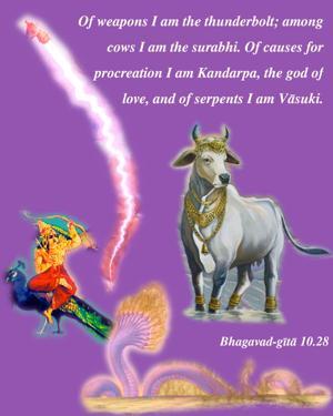 Bhagavad Gita 10.28.en.jpg - thumbnail size