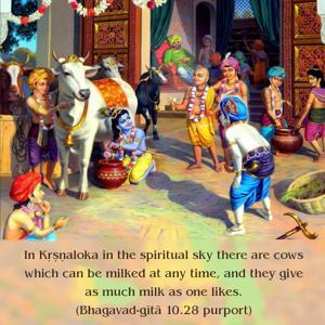 Purport to Bhagavad Gita 10.28 image - thumbnail size