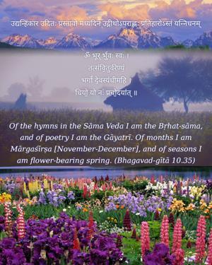 Bhagavad Gita 10.35.en.jpg - thumbnail size