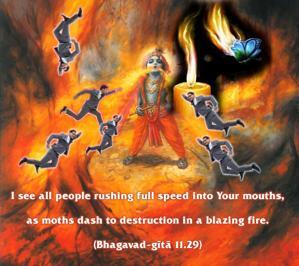 Bhagavad Gita 11.29.en.jpg - thumbnail size