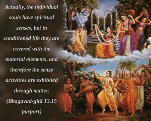 Purport to Bhagavad Gita 13.15 image - thumbnail size