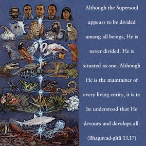 Bhagavad Gita 13.17.en.jpg - thumbnail size