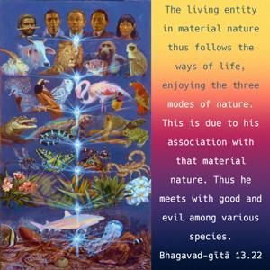 Bhagavad Gita 13.22.en.jpg - thumbnail size