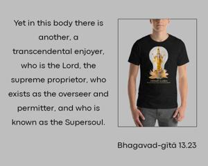 Bhagavad Gita 13.23.en.jpg - thumbnail size