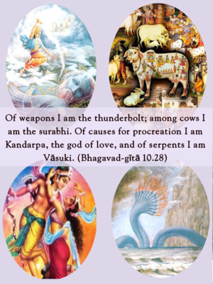 Bhagavad Gita 13.28.en.png - thumbnail size