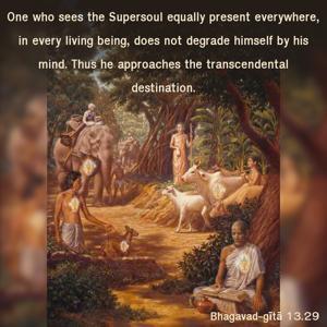 Bhagavad Gita 13.29.en.jpg - thumbnail size