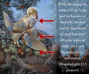 Purport to Bhagavad Gita 13.3 image - thumbnail size