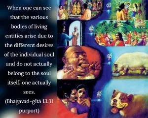 Purport to Bhagavad Gita 13.31 image - thumbnail size