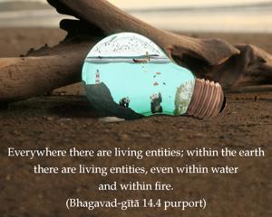 Purport to Bhagavad Gita 14.4 image - thumbnail size