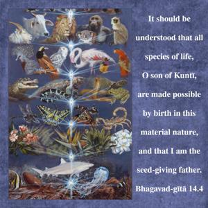 Bhagavad Gita 14.4.en.jpg - thumbnail size