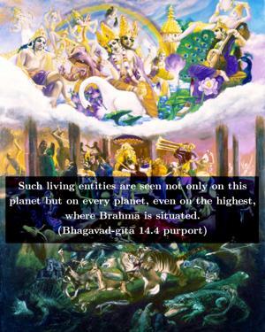 Purport to Bhagavad Gita 14.4 image - thumbnail size