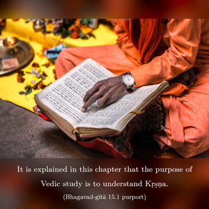Purport to Bhagavad Gita 15.1 image - thumbnail size