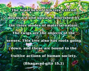 Bhagavad Gita 15.2.en.jpg - thumbnail size