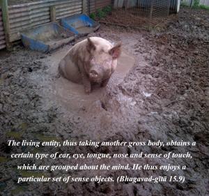 Bhagavad Gita 15.9.en.jpg - thumbnail size