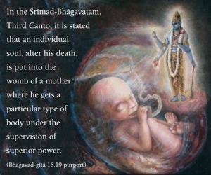 Purport to Bhagavad Gita 16.19 image - thumbnail size