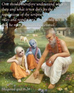Bhagavad Gita 16.24.en.jpg - thumbnail size