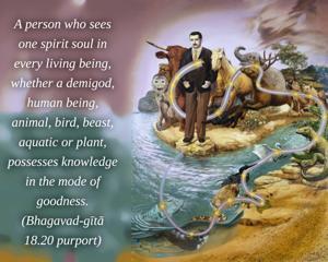 Purport to Bhagavad Gita 18.20 image - thumbnail size