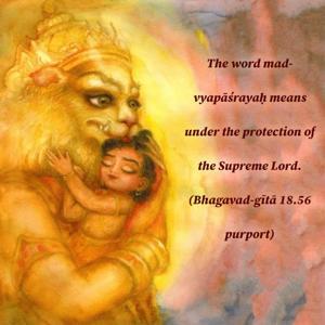 Purport to Bhagavad Gita 18.56 image - thumbnail size