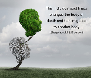 Purport to Bhagavad Gita 2.13 image - thumbnail size