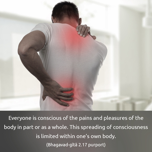 Purport to Bhagavad Gita 2.17 image - thumbnail size