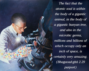 Purport to Bhagavad Gita 2.29 image - thumbnail size