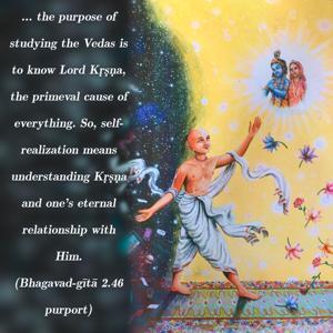 Purport to Bhagavad Gita 2.46 image - thumbnail size