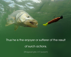 Purport to Bhagavad Gita 2.47 image - thumbnail size