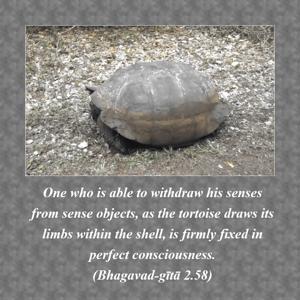 Bhagavad Gita 2.58.en.png - thumbnail size