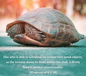 Bhagavad Gita 2.58.en.jpg - thumbnail size