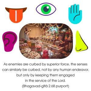 Purport to Bhagavad Gita 2.68 image - thumbnail size