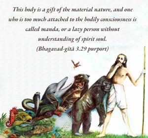 Purport to Bhagavad Gita 3.29 image - thumbnail size