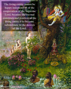Purport to Bhagavad Gita 3.30 image - thumbnail size