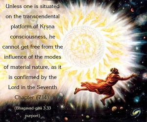 Purport to Bhagavad Gita 3.33 image - thumbnail size