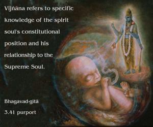 Purport to Bhagavad Gita 3.41 image - thumbnail size