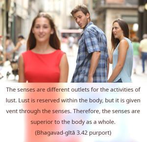 Purport to Bhagavad Gita 3.42 image - thumbnail size