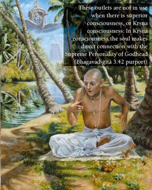 Purport to Bhagavad Gita 3.42 image - thumbnail size