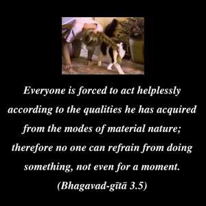 Bhagavad Gita 3.5.en.jpg - thumbnail size