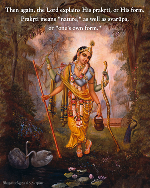 Purport to Bhagavad Gita 4.6 image - thumbnail size
