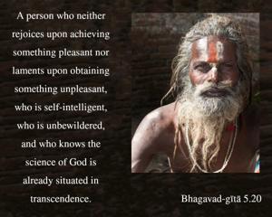 Bhagavad Gita 5.20.en.jpg - thumbnail size