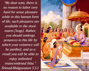 Purport to Bhagavad Gita 5.22 image - thumbnail size