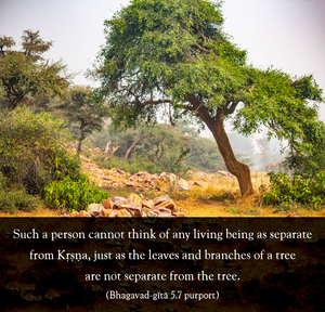 Purport to Bhagavad Gita 5.7 image - thumbnail size