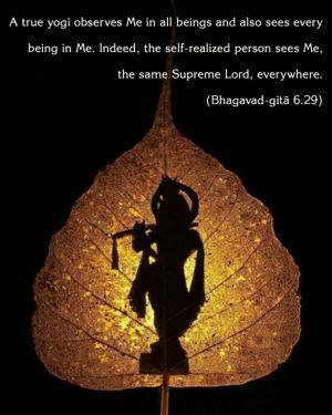 Bhagavad Gita 6.29.en.jpg - thumbnail size
