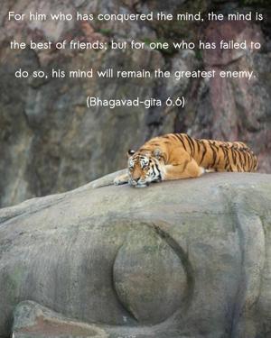 Bhagavad Gita 6.6.en.jpg - thumbnail size