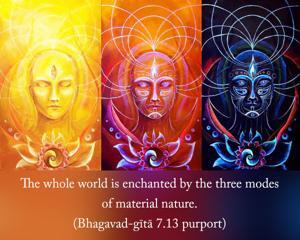 Purport to Bhagavad Gita 7.13 image - thumbnail size