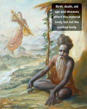 Purport to Bhagavad Gita 7.29 image - thumbnail size