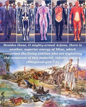 Bhagavad Gita 7.5.en.jpg - thumbnail size