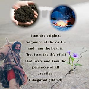 Bhagavad Gita 7.9.en.jpg - thumbnail size