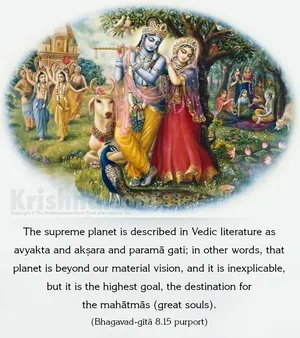 Purport to Bhagavad Gita 8.15 image - thumbnail size