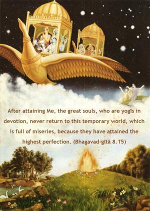Bhagavad Gita 8.15.en.png - thumbnail size